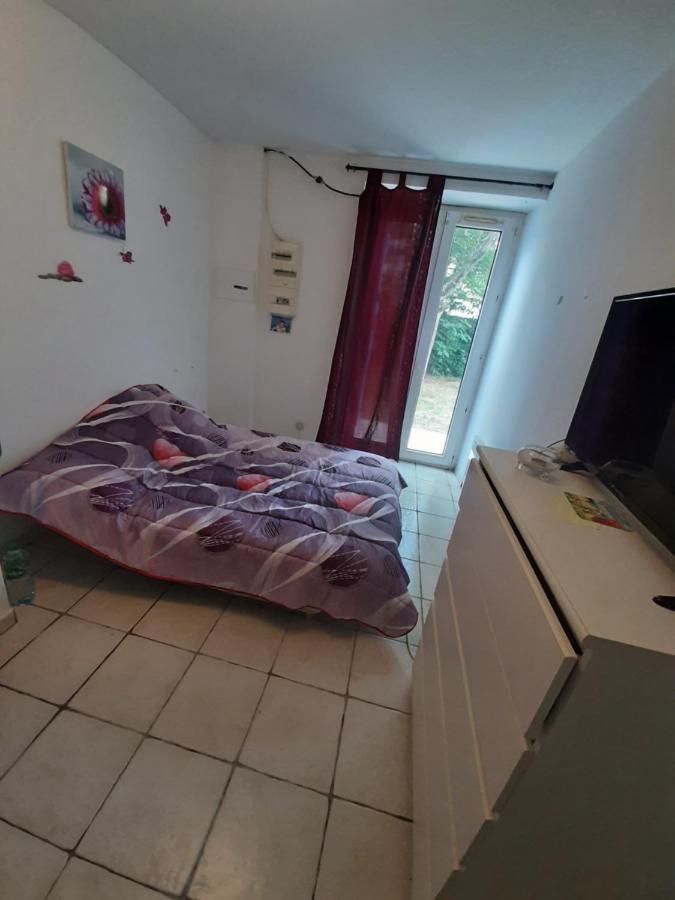 Molieres-sur-Ceze Rez De Jardin T3 아파트 외부 사진